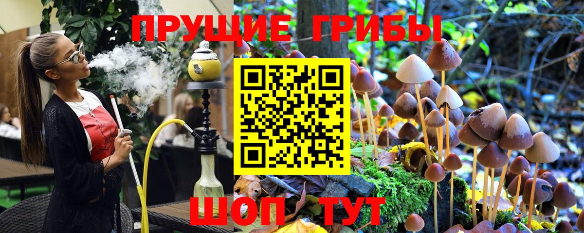 Галлюциногенные грибы Psilocybe  Вход с VPN  Шелехов 